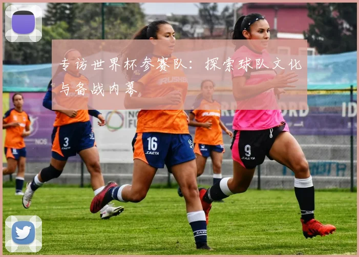 专访世界杯参赛队：探索球队文化与备战内幕