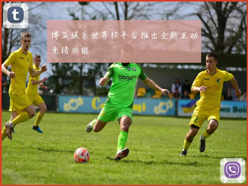 博亚娱乐世界杯平台推出全新互动竞猜功能