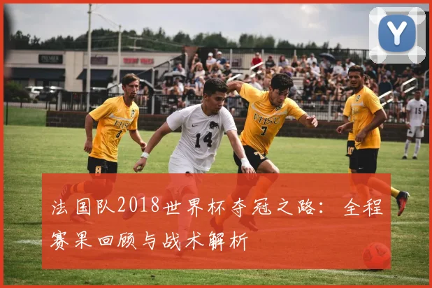 法国队2018世界杯夺冠之路：全程赛果回顾与战术解析