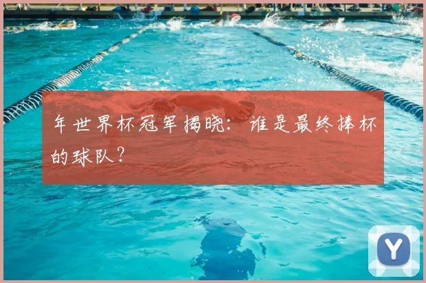 年世界杯冠军揭晓：谁是最终捧杯的球队？